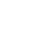 20%