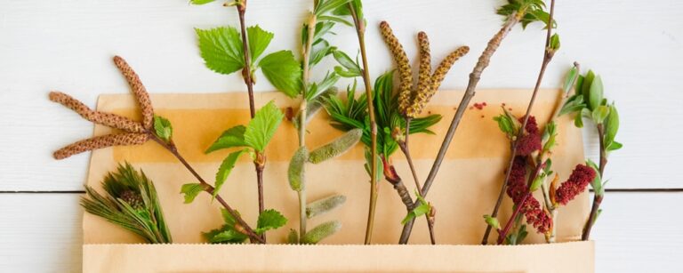 understanding-the-basics